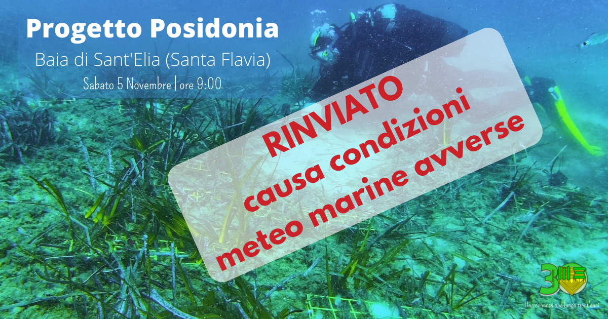 Invito Progetto Posidonia: riforestazione Baia di Sant'Elia