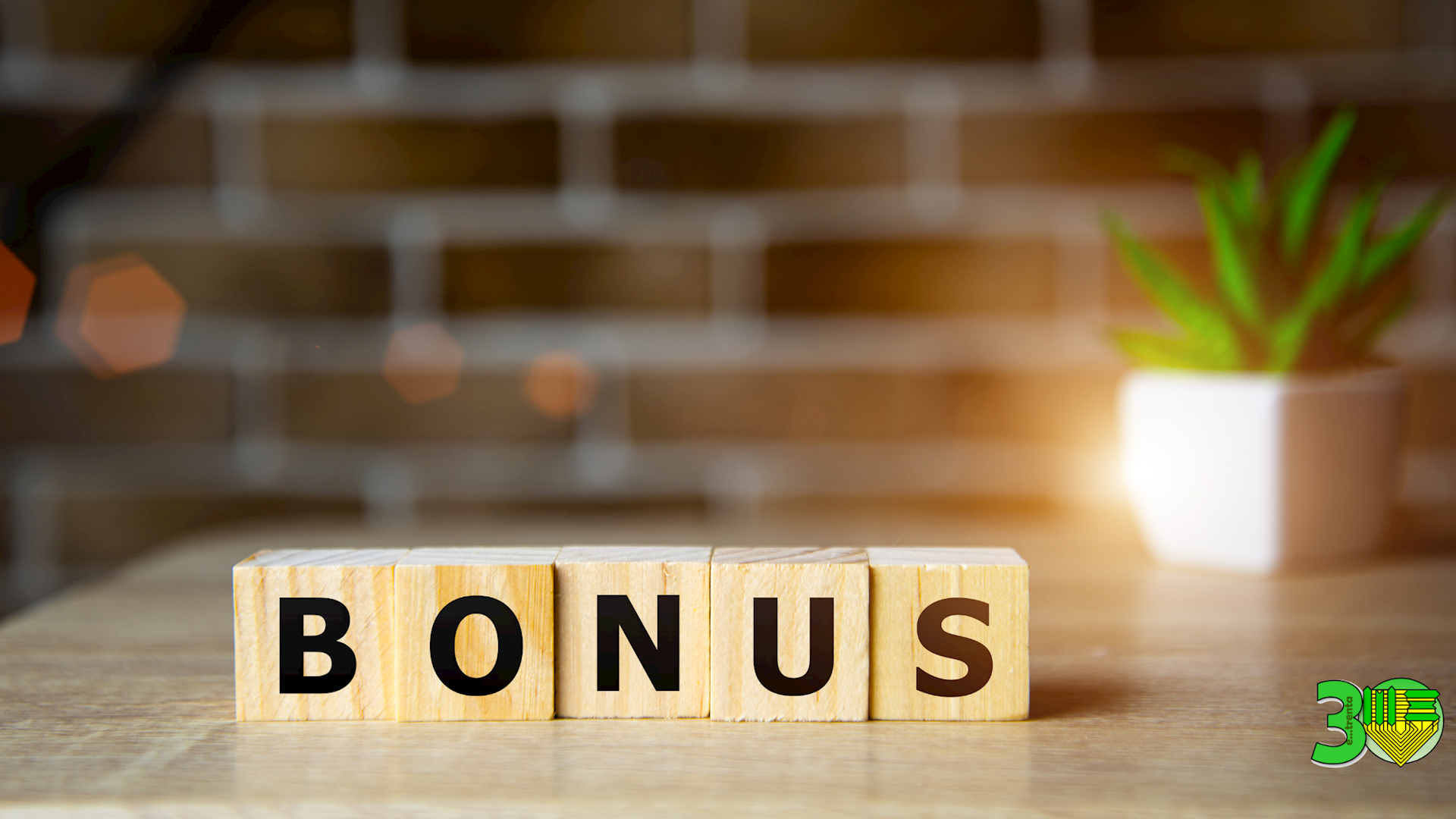 Bonus Edilizia 2025: molte complicazioni ma certezza sulla sostenibilità energetica